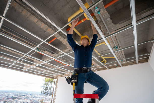 Best Commercial Plumbing Services  in Burley, WA