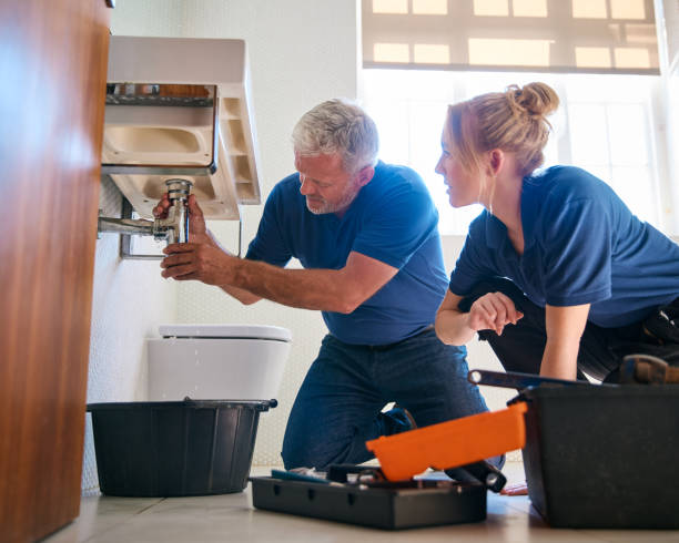 Best Local Plumber Services  in Burley, WA
